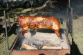 občerstvení občerstvení